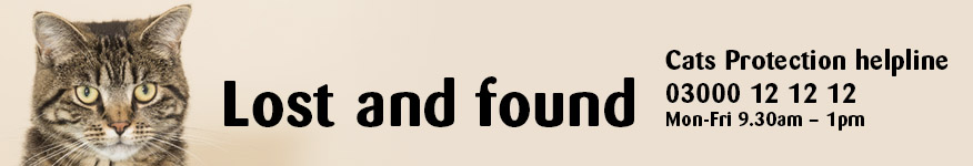 lost and found banner cats protection